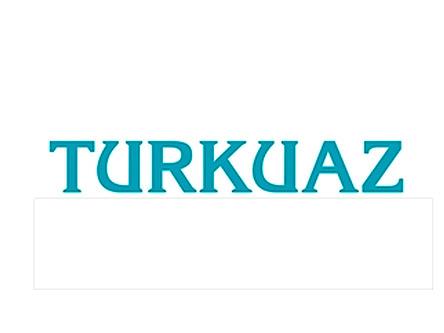 Группа компаний Turkuaz - разработка сайта