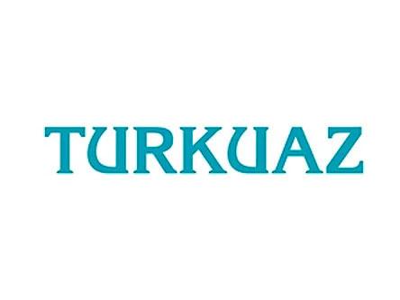 разработка сайта для компании turkuaz