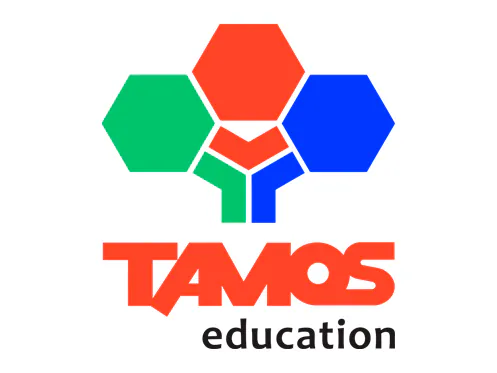 Создание сайта для школы Tamos Education